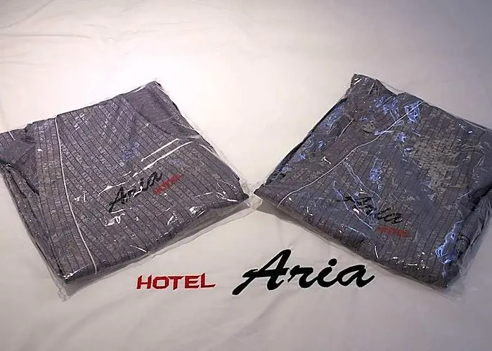 Hotel Seomyeon Aria 3*